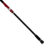 Daiwa Seajigger Rod